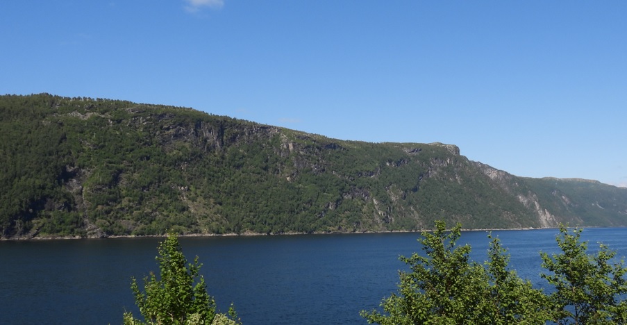 Ringstadlia: Foto: Statsforvaltaren i Møre og Romsdal.