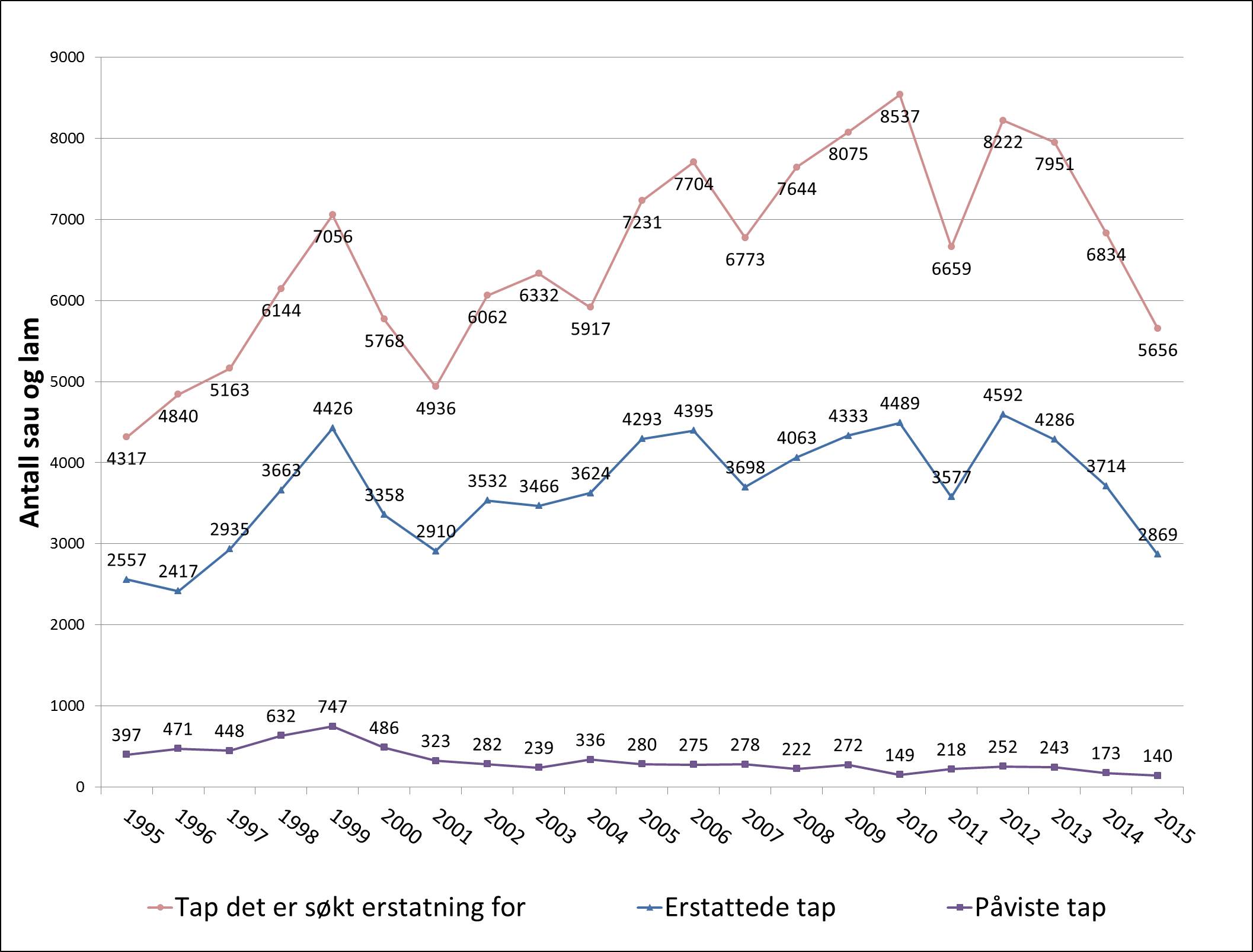 Figuren viser utvikling i antall sau det er søkt om erstatning for, som er erstatta og som er påviste drept av fredet rovvilt i perioden 1995-2015.