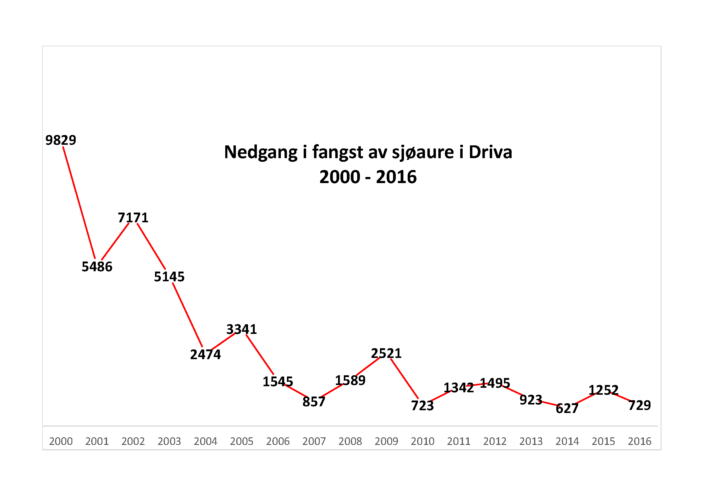 Nedgang i innrapportert fangst av sjøaure i Driva, 2000-2016