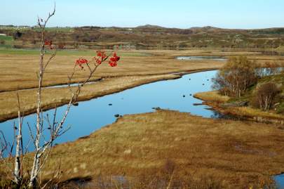 Strandengene ved Sandblåstvågen