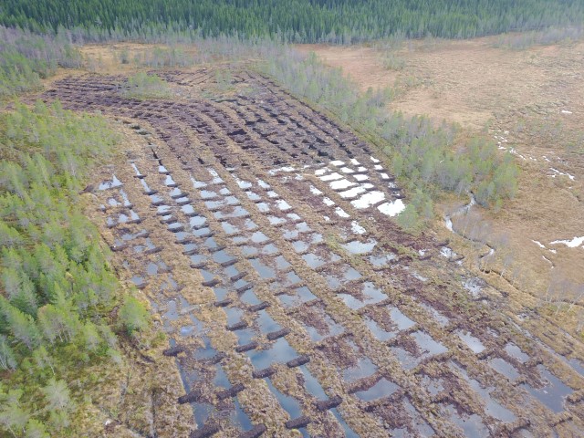 Del av restaurert område i Aspåsmyran. Foto: SNO