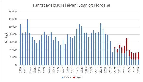 Fangst av sjøaure  i vassdrag i Sogn og Fjordane