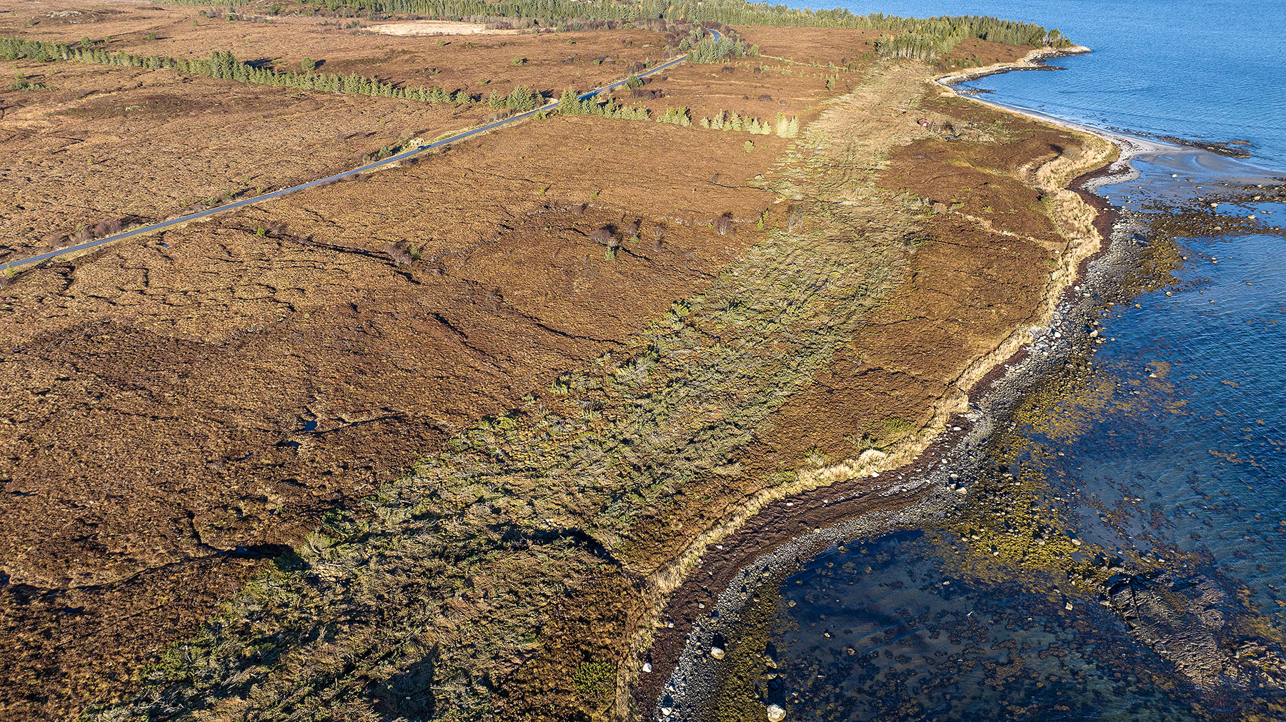 LavopplMalesanden, Harøya 0651.jpg