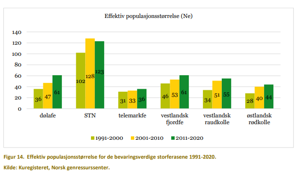 Effektiv populasjonsstørrelse.png