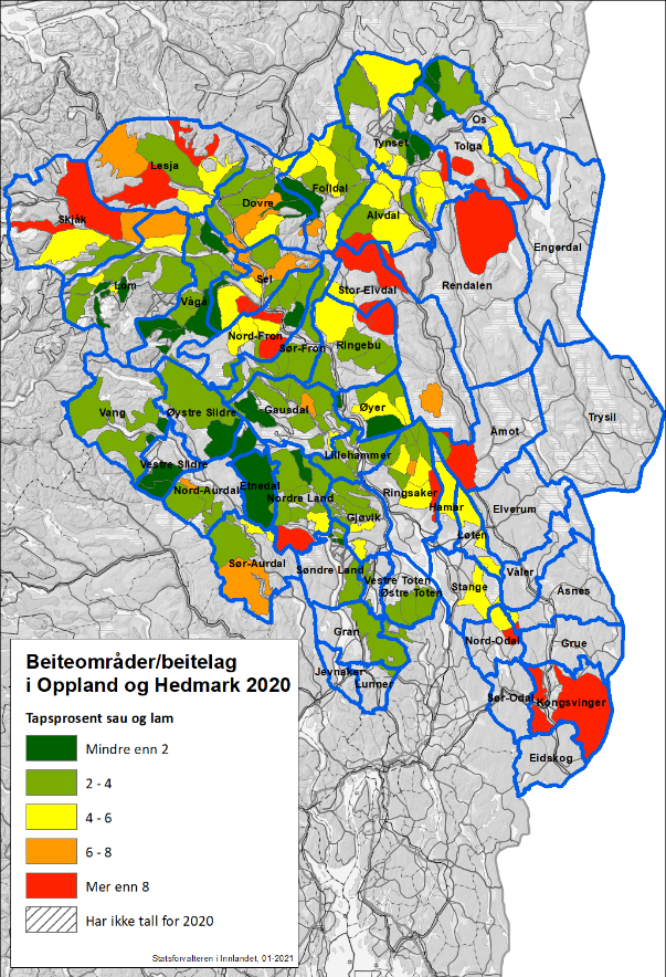 Beitelag i Innlandet - tap 2020