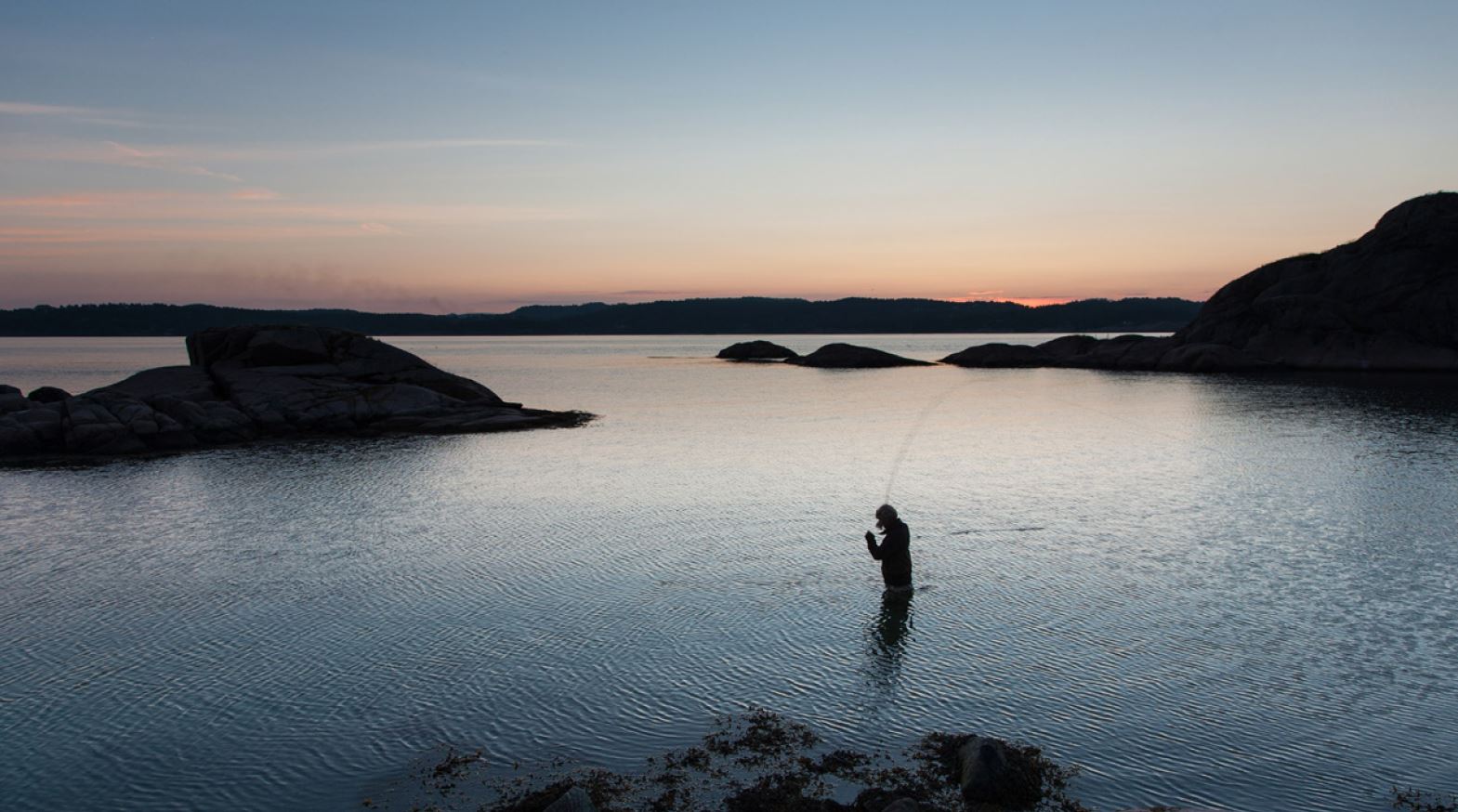 Sjøaurefiske i skumringen