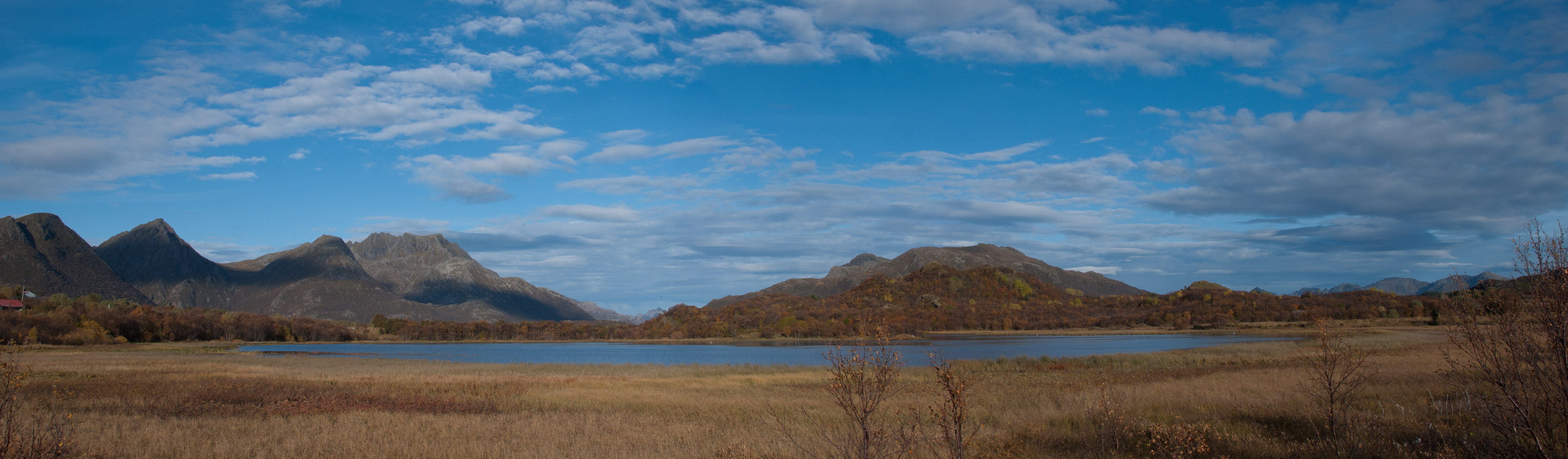 Førvatnet i Straume naturreservat