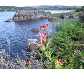 Bjårvatnet naturreservat i Hå kommune.