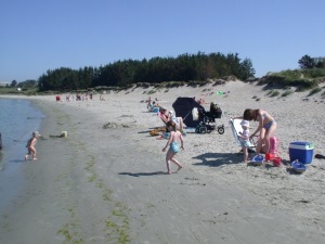 Strandliv i Sandebukta.