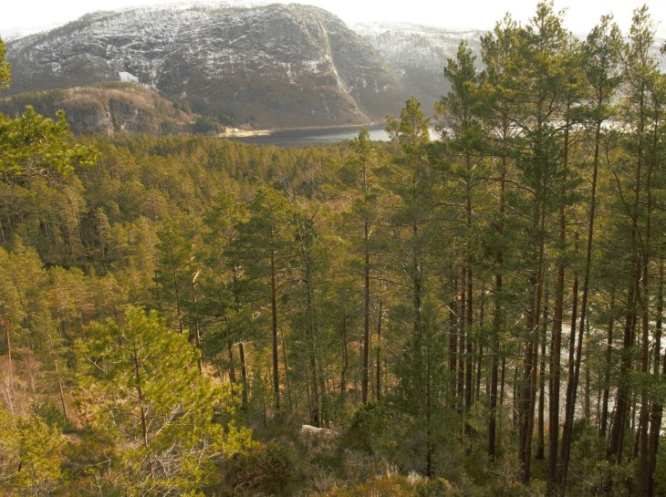 Bjordal i Fjaler kommune. Foto: Tore Larsen